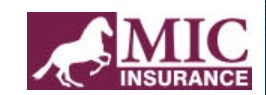 MIC Insurance